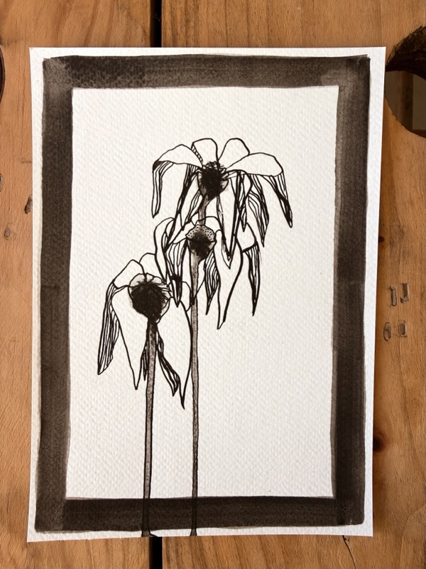 Fluir entre flors 4